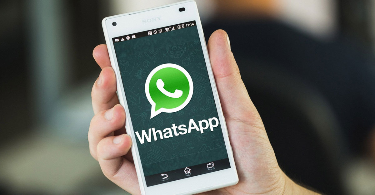 যা করলে হ্যাক হবে না হোয়াটসঅ্যাপ