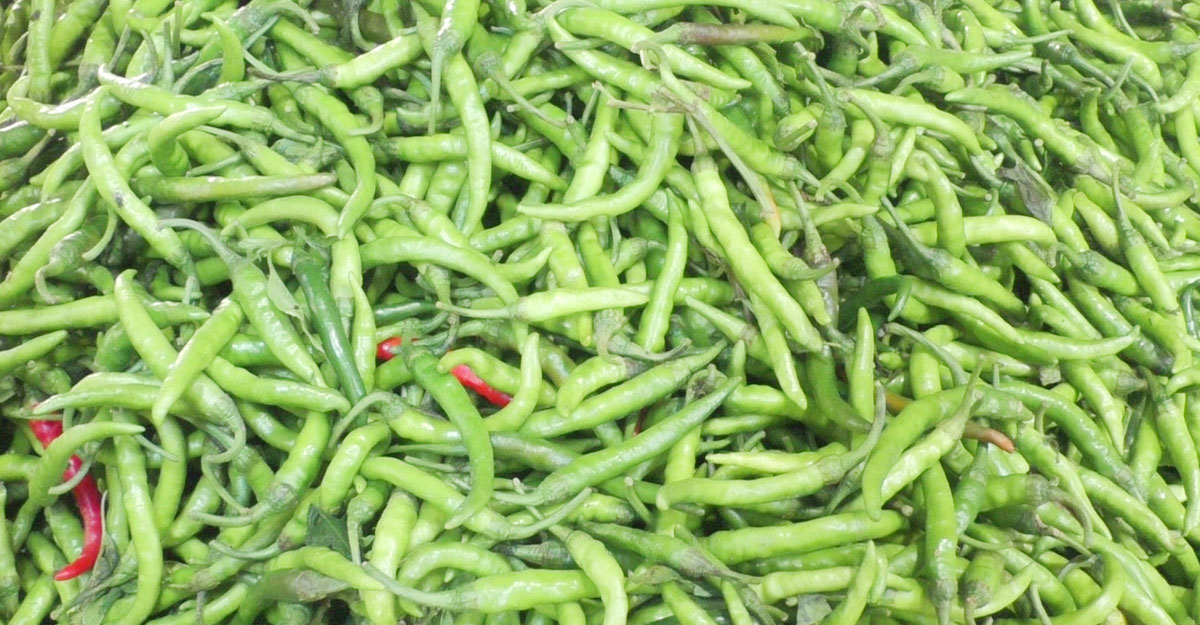 দিনাজপুরের হাকিমপুর উপজেলার হিলি স্থলবন্দরে পাইকারি বাজারে এক সপ্তাহের ব্যবধানে দেশি কাঁচা মরিচের দাম কমেছে। প্রতি কেজি কাঁচা মরিচের দাম ৫০