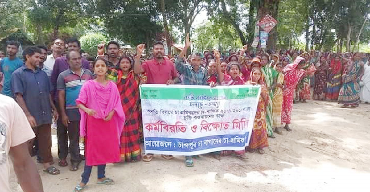 দৈনিক মজুরি ৩০০ টাকার দাবিতে চা-শ্রমিকদের কর্মবিরতি